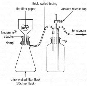 Suction filtration setup | scienceforyou