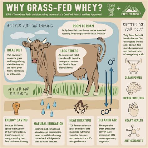 🌱Truly Grass Fed🌱 – Earth Fed Muscle