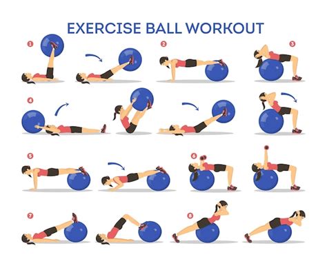 Premium Vector | Exercise ball workout set. idea of body health and ...