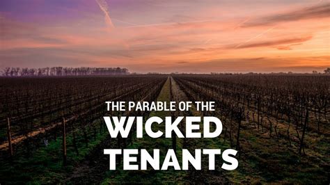 The Parable of the Vineyard: What underlying message did Jesus bring ...