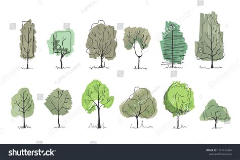 Landscape Design Trees