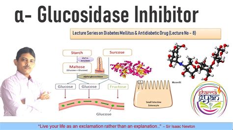 Alpha-glucosidase inhibitors #AlphaGlucosidaseInhibitor #Acarbose # ...