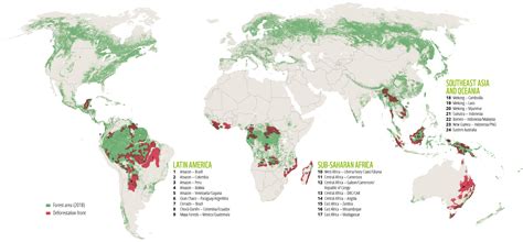 [最も欲しかった] amazon rainforest deforestation graph 2021 975638 - Gambarsaehqi