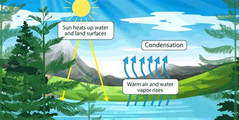 How Are Clouds Formed? A General Overview