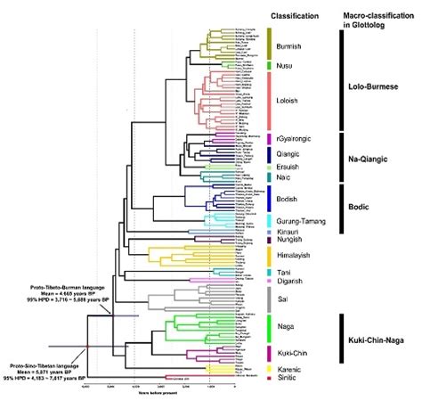 Nature Letter: Phylogenic evidence found to explain the initial Sino ...