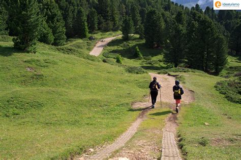 #mountain #trentino #dolomiti #holiday #trekking #nature #forest #green ...