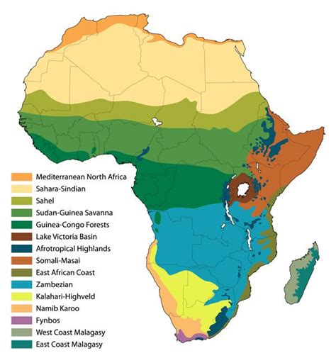 African Savanna Biome Map - Pets Lovers