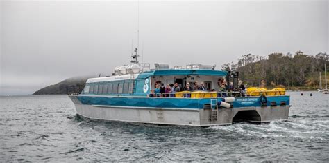 Stewart Island Ferry - Everything New Zealand