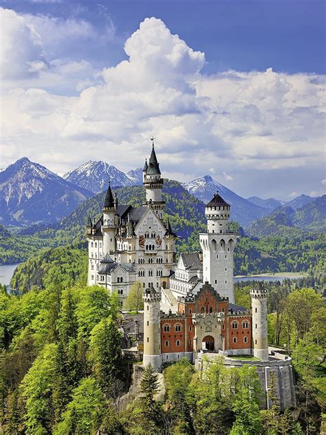 Buy - Ravensburger - Neuschwanstein Castle Puzzle 500pc