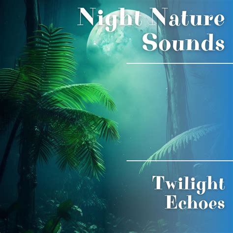 Atmospheric Forest - Night Nature Sounds - 单曲 - 网易云音乐