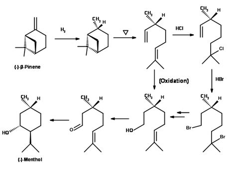 6: Strategies in (-)-Menthol Synthesis - Chemistry LibreTexts