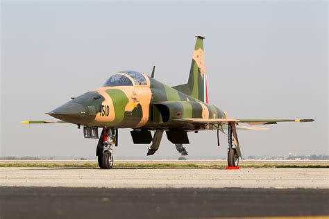 Video | Cuando los diez F-5E Tiger II de la FAM volaron juntos