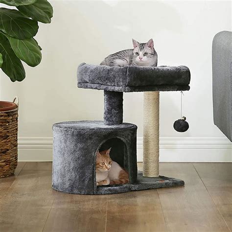 Senior Cat Trees & Small Cat Condos for Older Cats