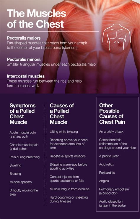 Invalid Blueprint Go up and down best pain relief for pulled chest ...