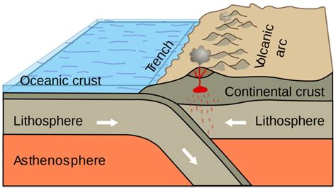 Ocean-Continent Convergent Plate Boundaries ( Read ) | Earth Science ...