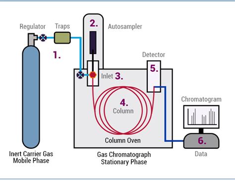 How Does Gas Chromatography Work? | PerkinElmer Blog