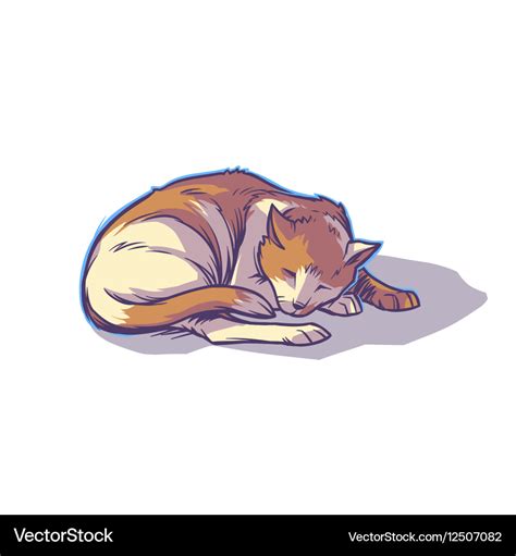 Spotted cat sleeping curled up Royalty Free Vector Image