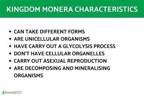 Kingdom Monera Definition and Characteristics in Biology with Examples