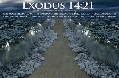 Exodus 14:21 KJV!! | Kristi Ann's Haven