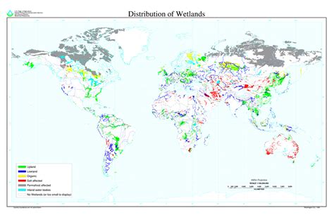 Wetlands World Map - Wetlands