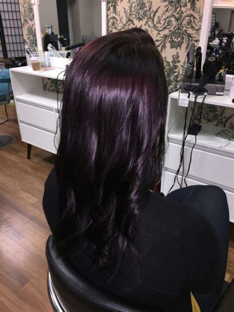 16+ Romantic Dark Brown With Purple Tint Hair Color Collection | Plum ...