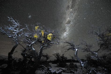 Winter starry landscape | ESO