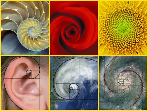 All Things Science: Art (& a Little Bit of Math) All Around Us!