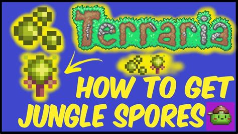 How To Get Jungle Spores In Terraria | Terraria 1.4.4.9 - YouTube