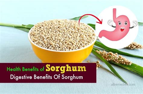 8 Must-Know Health Benefits Of Sorghum Grain, Flour, Recipes, Meal