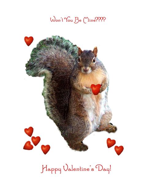 Squirrel Valentine Card for the Squirrel Lover | Etsy