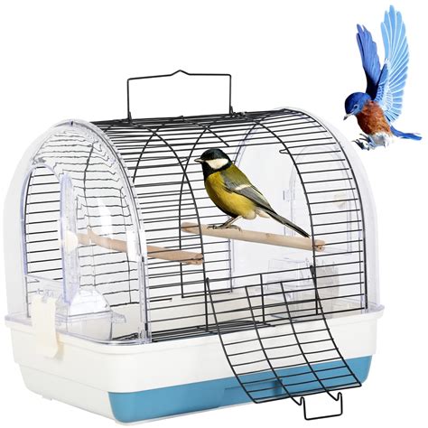 10 Best Toucan Bird Travel Cages for Safe and Comfortable Journeys ...