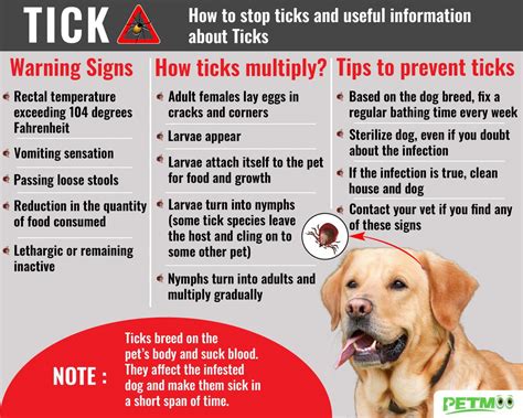 Tick Bite On Dogs - Tick Fever Symptoms & Treatments - Petmoo