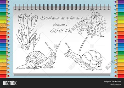 Coloring Page Vector & Photo (Free Trial) | Bigstock