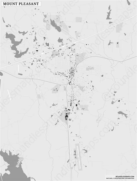 Mount Pleasant - Figure-ground Vector Map | Boundless Maps