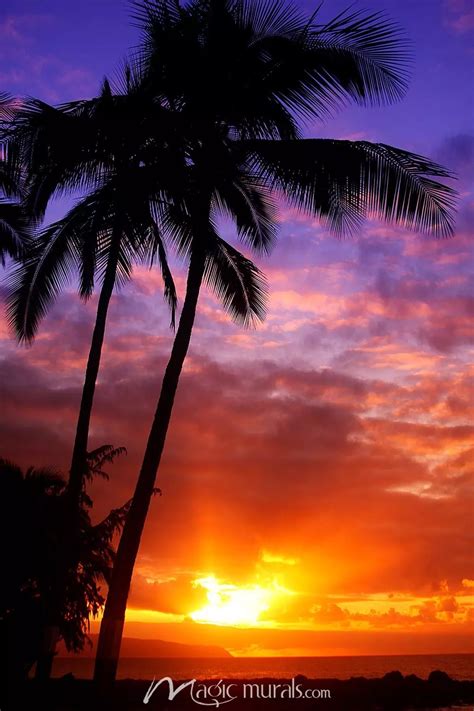 Beautiful Hawaiian Sunset Wallpaper Mural by Magic Murals