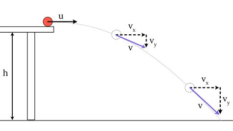 Projectile Motion Experiment | Year 12 Physics Practical Investigation