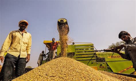 How Promising Is the Food Processing Industry for Indian Agriculture?