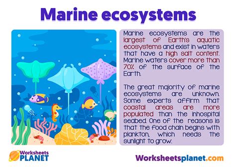 Aquatic Ecosystems for Kids | Science Teachers Resources