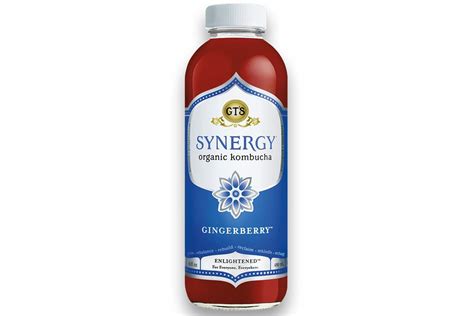 Synergy Gingerberry Kombucha Review