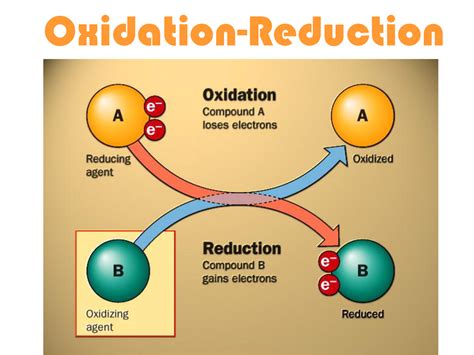 OXIDATION-REDUCTION - BIOCHEMISTRY