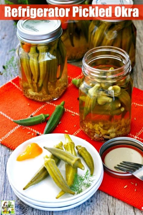 Refrigerator Pickled Okra Recipe | This Mama Cooks! On a Diet