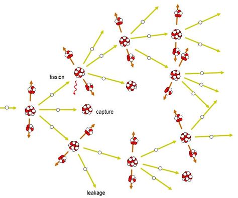 Nuclear fission chain reaction. | Download Scientific Diagram