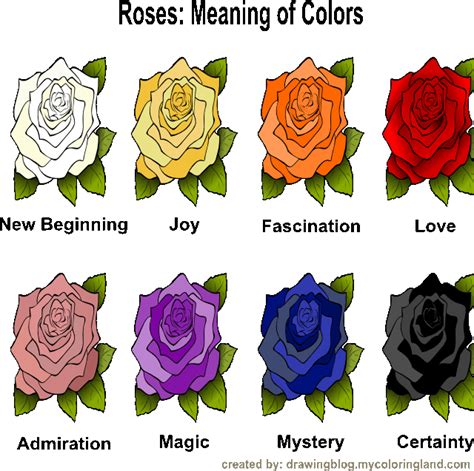 meaning of rose color Archives - Drawing Blog