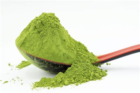 Moringa Powder | Inaexport