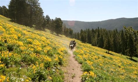 Absaroka Mountains, Range in Montana - AllTrips