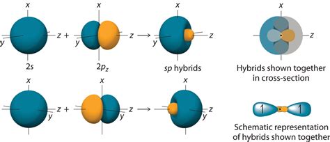 10.7: Valence Bond Theory- Hybridization of Atomic Orbitals - Chemistry ...