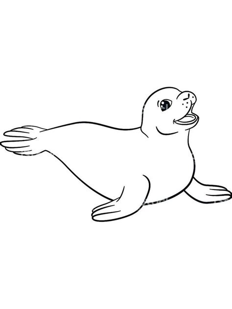 Coloring Pages Of A Seal. Talking about seals is truly endless. This ...