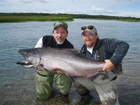 Alaska King Salmon Fishing gallery