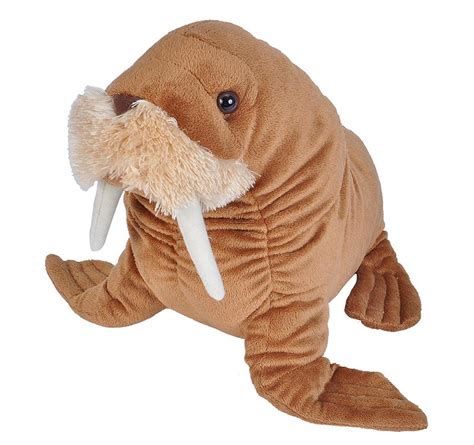 Wild Republic Cuddlekins Walrus Plush Toy | Buy online at The Nile