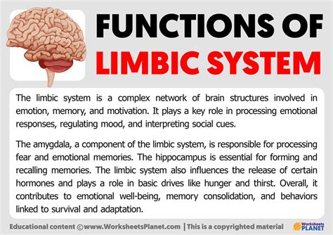 Functions of Limbic System